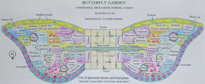 Garden plan. Click here for large plan with key.