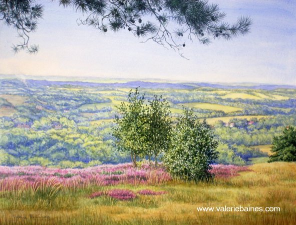 Broadstone Landscape